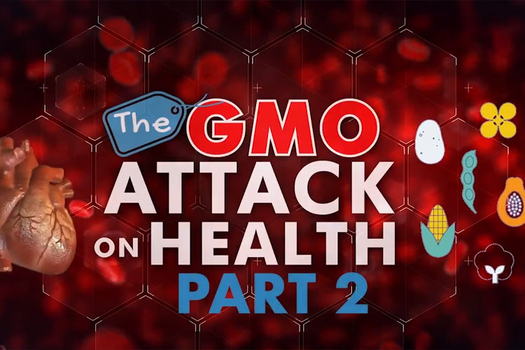  THE GMO ATTACK ON HEALTH